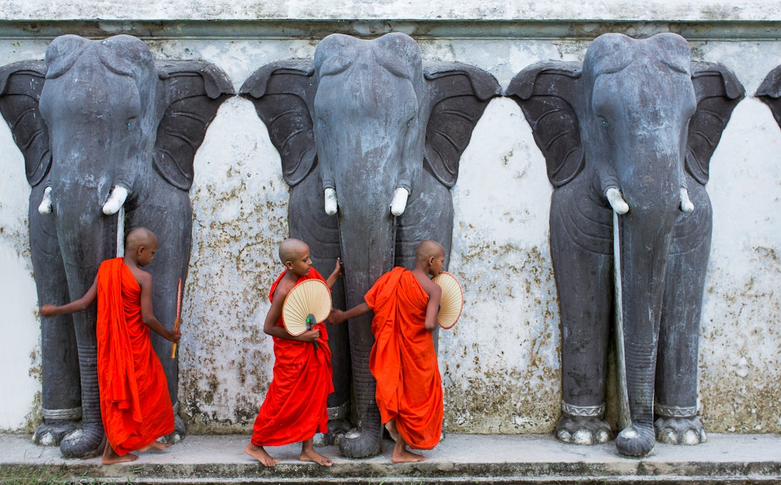 Novice monks feeding monkeys outside temple. Sri Lanka.